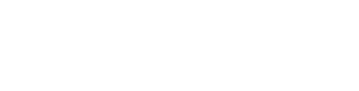 Nicoya Health Support Logo